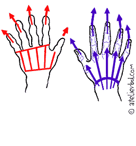 Deux ou trois trucs sur les mains